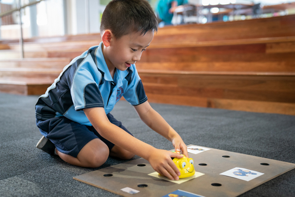 Sacred Heart Catholic Primary School Cabramatta Co-curricular Community Partnerships